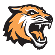 Team RIT Tigers (Rochester Institute of Technology)'s avatar
